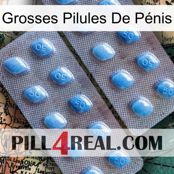Grosses Pilules De Pénis viagra4